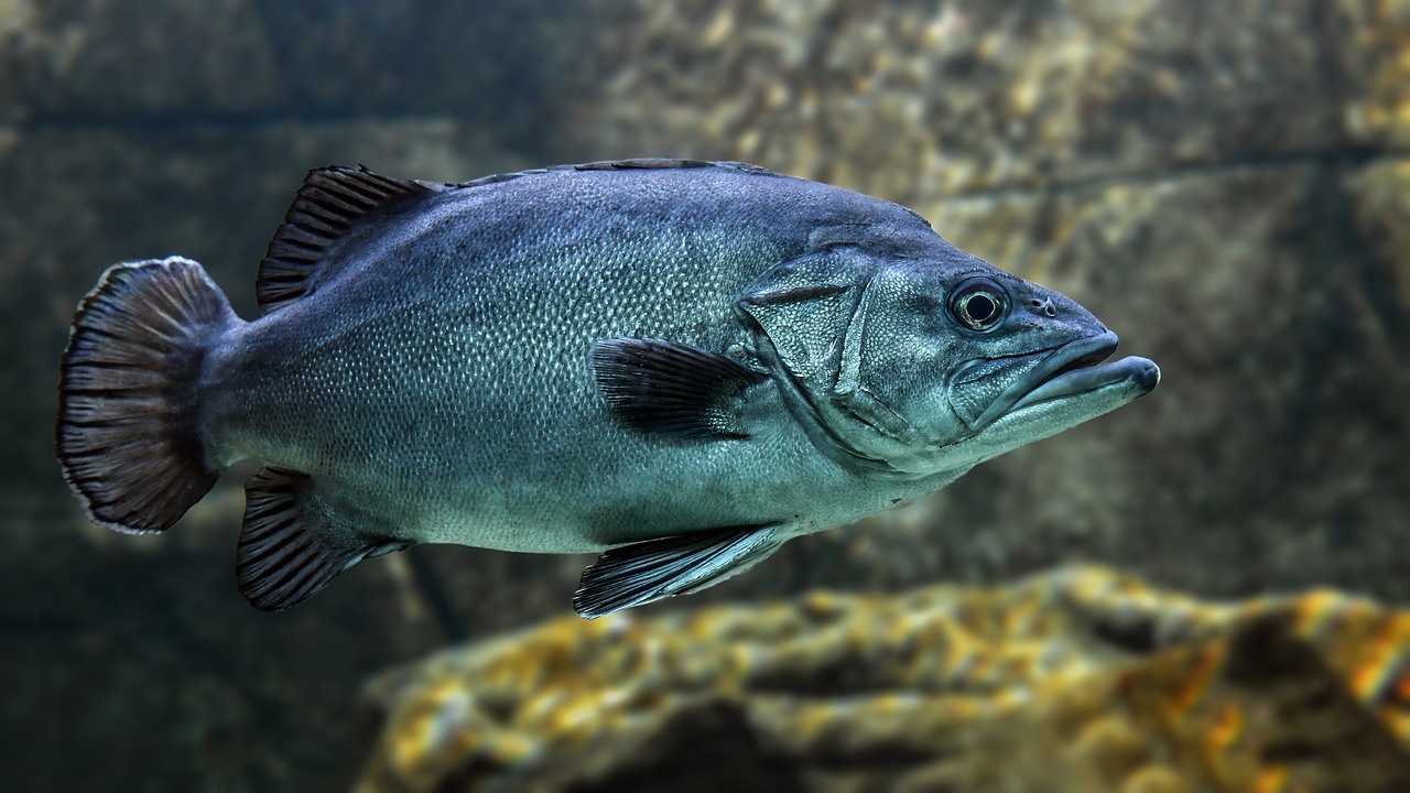 How to Cook Perfectly Flaky Fish - Tips and Tricks